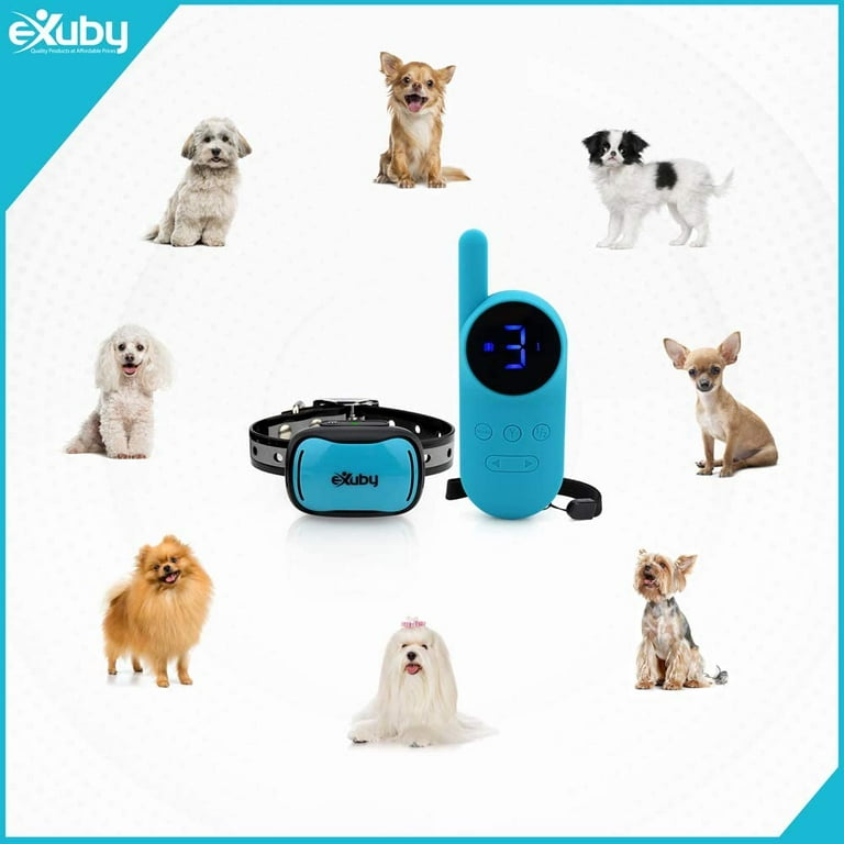 Bark collar for 4lb dog sale