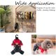 thumbnail image 5 of 20 paquetes de perchas negras para ropa de mascotas, lindas perchas de plástico flexibles y resistentes con diseño de huella de pata para perros, gatos, mascotas y niños pequeños., 5 of 9