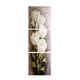 thumbnail image 3 of 1 de 3 Piezas de Flores de án Impresiones en Pintura Impresiones Pared Arte Decoración Imagen S Soledad Pintura de pared de lienzo floral, 3 of 8