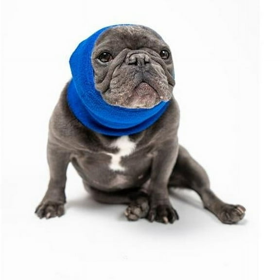 Pet Hoodz PHLB Pet Hoodies, Blue - Large