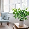 thumbnail image 4 of BotaniNest Fausses Vignes de Verdure Pothos Feuilles pour Mur Intérieur Cour, 4 of 5