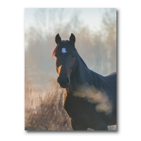 Designart ' Close Up Portrait Of A Horse On An Autumn Morning ' Farmhouse Canvas Wall Art Print