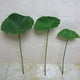 thumbnail image 4 of Vaina de hoja de flor artificial Sincero decorativa, 4 of 10