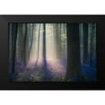 thumbnail image 2 of Popan, Adrian 14x11 Black Modern Framed Museum Art Print Titled - Velvet Light, 2 of 5