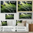 thumbnail image 4 of Designart "A Close Up Photo of Ferns I" Floral Floater Framed Canvas Print, 4 of 7