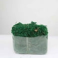 thumbnail image 3 of Artificial Dried Moss Decor Flower Hanging Baskets Plant, 3 of 9