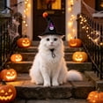 thumbnail image 5 of Witch Cat Dog Halloween Outfit Hat with Bow, Soft Pet Clothes Hats for Cats and Small Dogs, Spandex Form-Fitting Comfort for Parties Parades Photo, 5 of 5