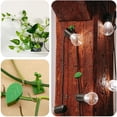 thumbnail image 3 of 80 Piezas Clips de FijacióN de Pared para Plantas Trepadoras Fijador de Plantas, Vides, JardíN, Hoja Verde, Clips de Pared para Plantas, Soporte de Vides para DecoracióN de Pared, 3 of 5