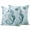 Seahorse, variant on Happy Groundhog Day Outdoor Pillow Covers 24"x24" Set of 2,Waterproof Throw Pillow Covers for Patio Furniture,February Spring Party Cute Animals Decorative Cushion Pillowcases for Garden Couch Sofa