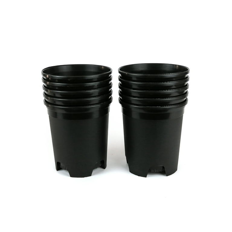 Cotta Planters 1 Gallon Nursery Pot Plastic Planters for Outdoor Indoor Plants Gardening Flower Pots 10-Pack 6 Inch Plant Pots with Drainage Holes