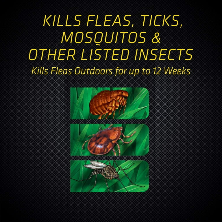 Black flag flea and tick sales yard treatment