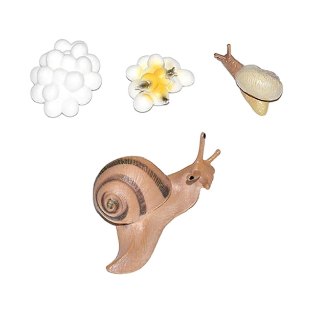 Figura del ciclo de vida de los animales: aprendizaje preescolar para niños y niñas, rompecabezas científico caracoles 8cm