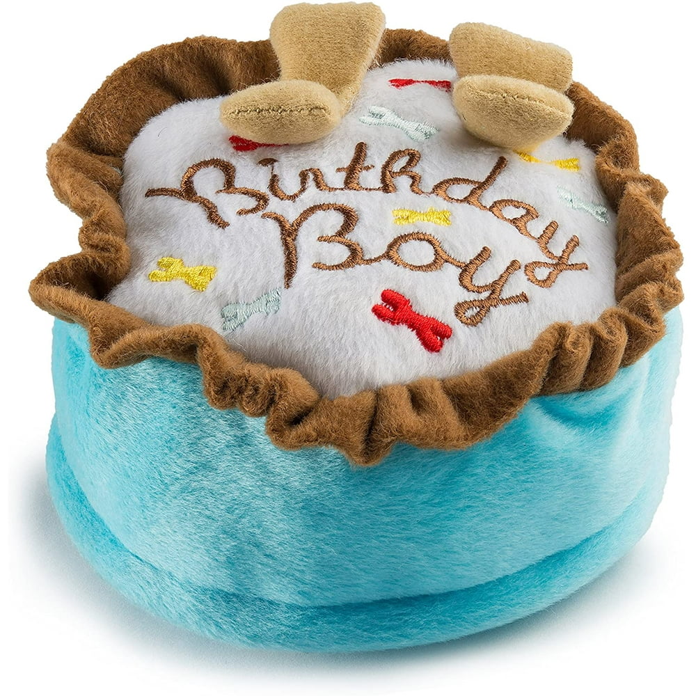 Birthday Boy Plush Dog Toy (Large)