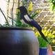 thumbnail image 1 of Urraca, pájaro de simulación, adorno de jardín, artesanía, estatua de pájaro, modelo de pluma Artificial para césped, patio artístico al aire libre 17cm DYNWAVEMX Figuras de pájaros, 1 of 8
