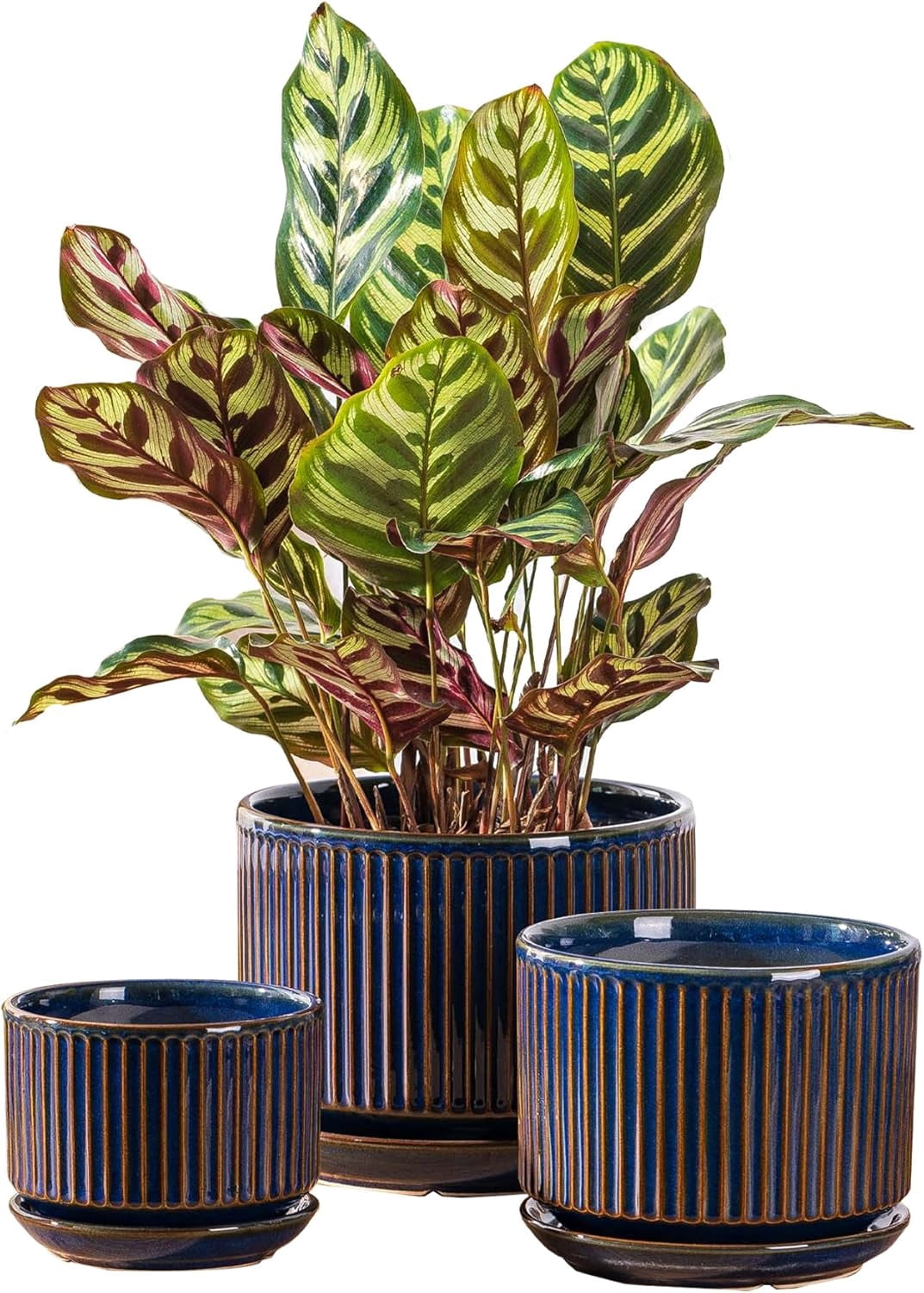 Speckle Gray Ceramic Plant Pot Set of 3 with Saucers, 4.3-6.7 Inch Indoor Flower Pots with Drainage Holes and Pads, Decorative Striped Planter Set for House Plants and Gardening