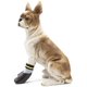thumbnail image 2 of pares de calcetines antideslizantes para perros pequeños y medianos, botas impermeables de invierno para perros, calcetines para perros, zapatos antideslizantes impermeables para perros, color negro,, 2 of 5