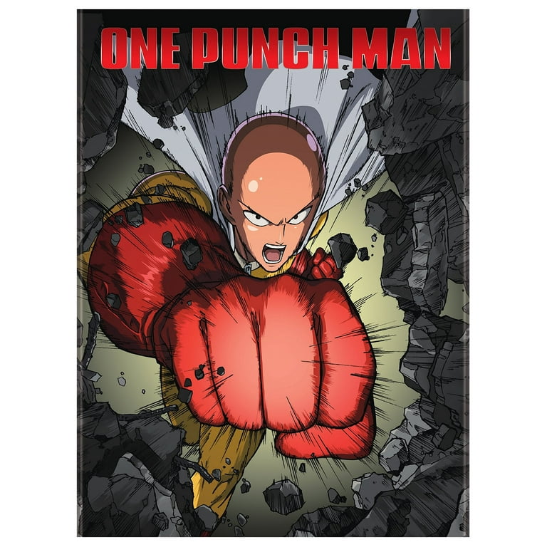 One Punch Man Hero Movie Standard Edition (DVD) - Walmart.com