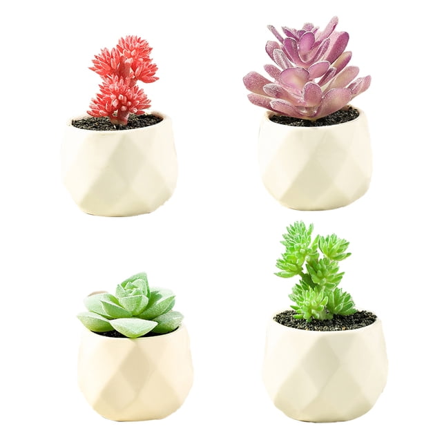 Planta de simulación de decoración del hogar interior de mini suculentas Ormromra