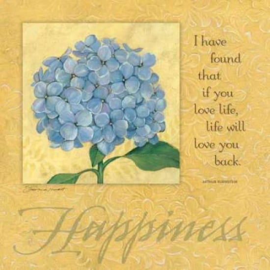 Happiness-hydrangea