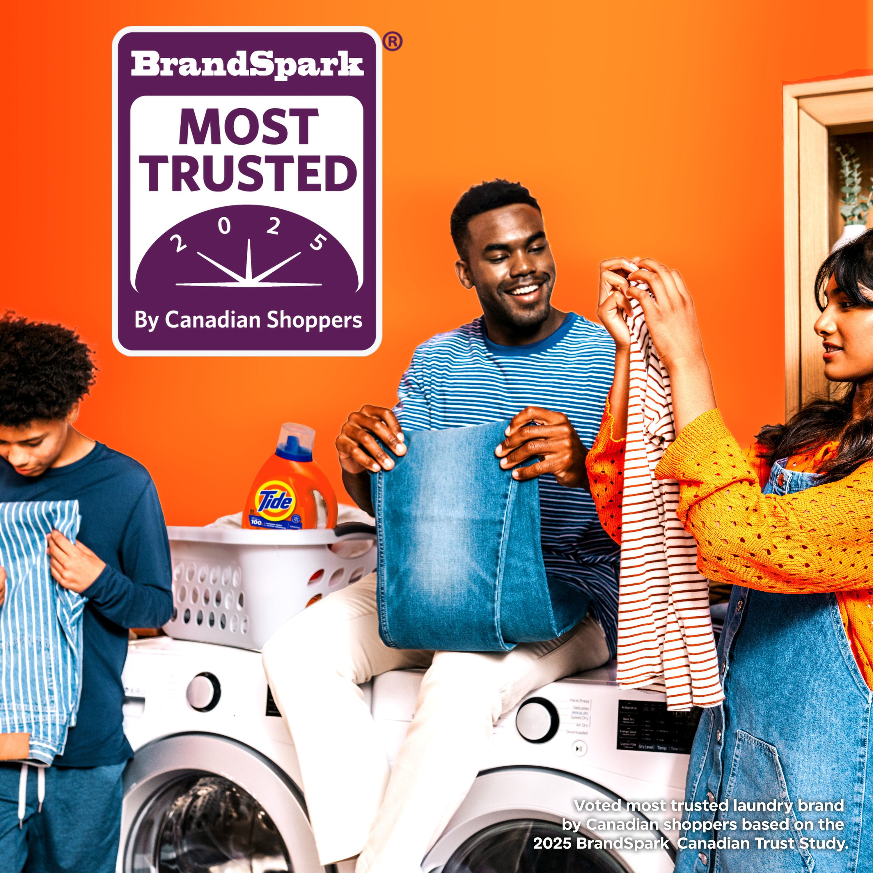 Tide Liquid Laundry Detergent, Original Scent, 3.9L