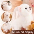 thumbnail image 5 of XUYAN Plush Cute Plush Stuffed Animal Lifelike Dog Plush Cotton Filled Plush Dog Toy Gift for Girls for Kids Girls Dog Theme Party Favor Birthday Baby Room Home Decor 10 x 9 Inches, 5 of 7