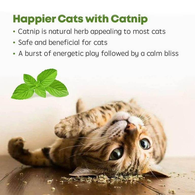 Toys for energetic clearance cats
