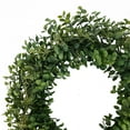 thumbnail image 3 of (2 pack) Mainstays 18in Indoor Artificial Boxwood Wreath, Green Color. Plastic Material. Not in Pot., 3 of 9