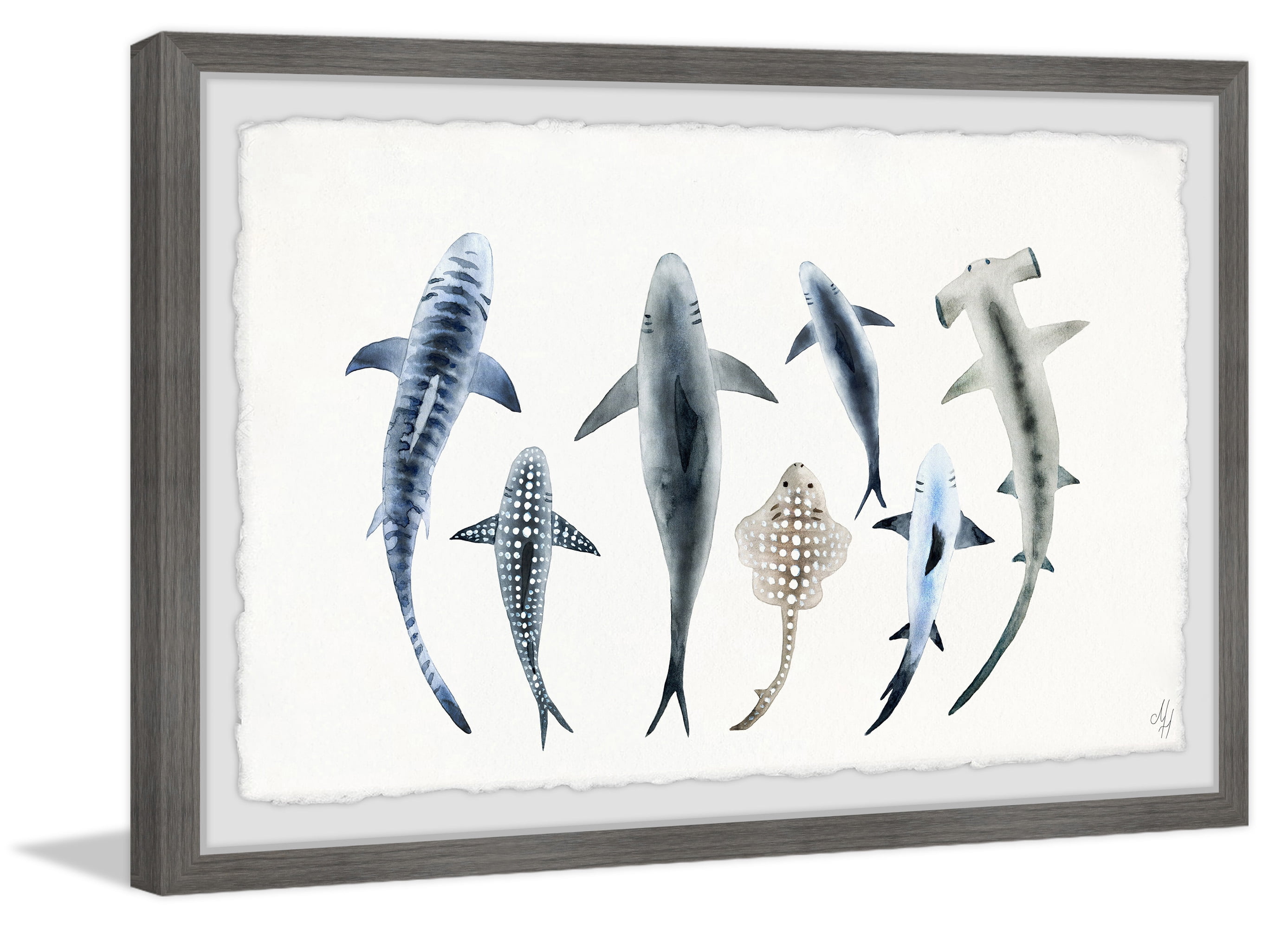 Marmont Hill Shark Types II Framed Wall Art