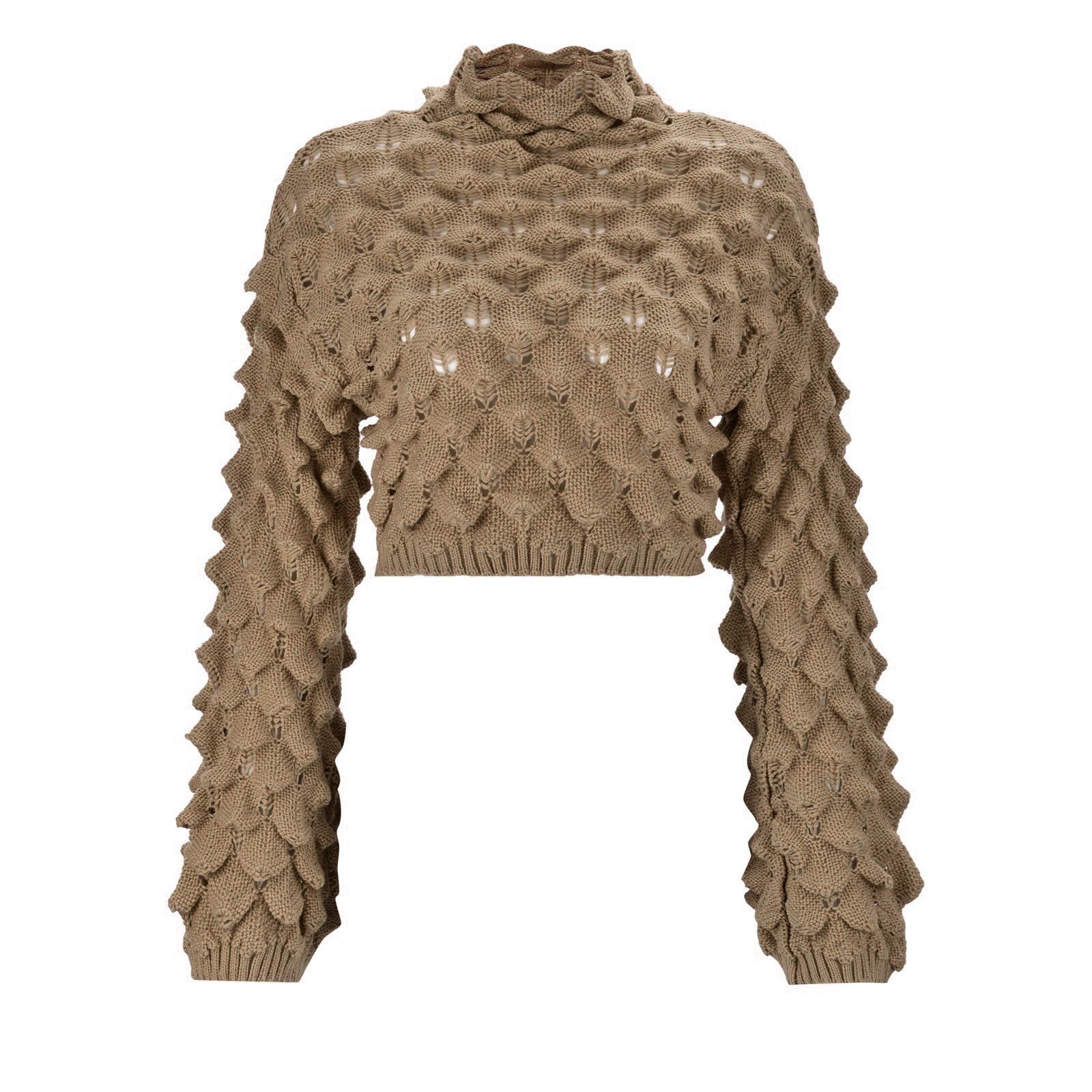 ZRBYWB Sweaters For Women Short Half High Neck Sweater With Fish