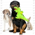 thumbnail image 5 of Mighty Dragon Green Durable Plush Squeaky Dog Toy, 5 of 7