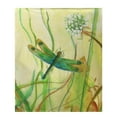 thumbnail image 1 of Betsy Drake BK187 Dragonfly Fleece Throw, 1 of 1