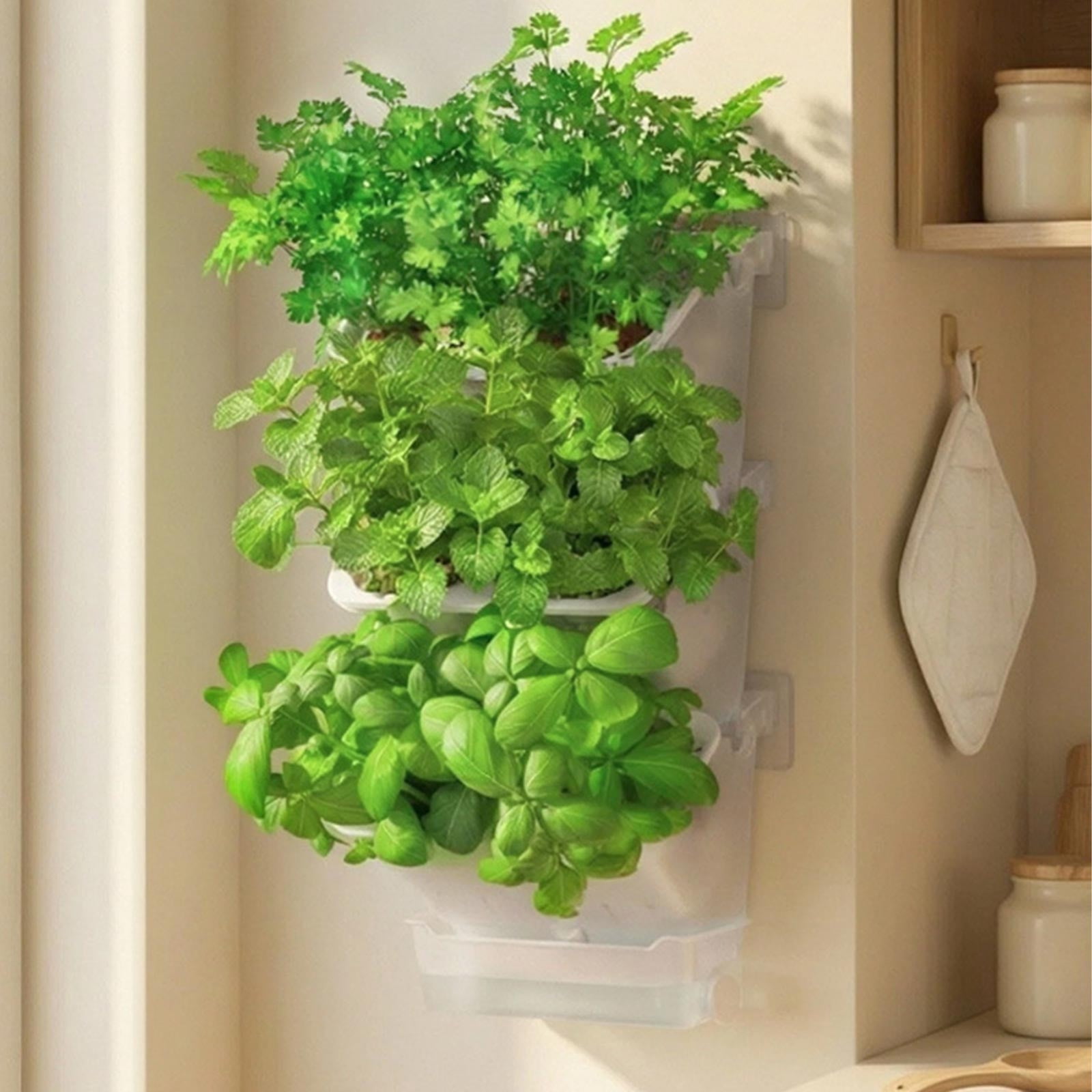Wall Mounted Self Watering Planter for Indoor and Balcony Gardening, Vertical Flower Pot with Water Reservoir for Plants and Vegetables, Space Saving Planting System for Small Spaces and Apartments