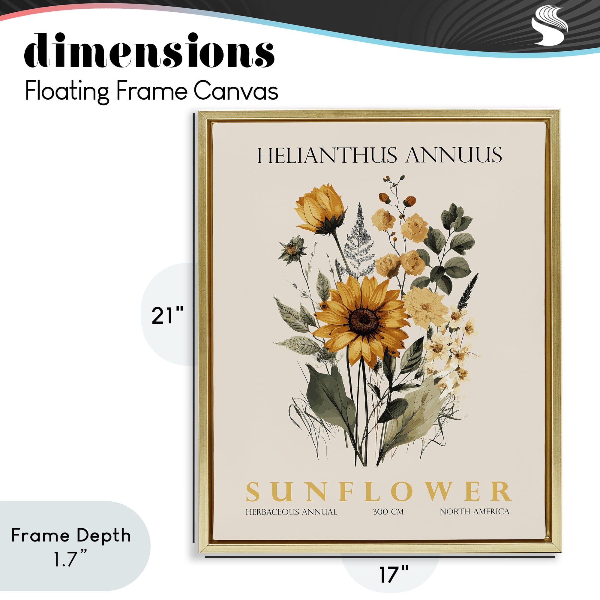 Stupell Industries Natural Sunflower Bundle Gold Framed Floater Canvas Wall Art, design by Christopher Giampietro