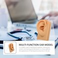 thumbnail image 2 of KAKOWELY 1 Set of Decorative Fake Ear Multi-function Ear Model Desktop Earring Holder Earring Accessory,3.15X"X2.76"X1.97", 2 of 5