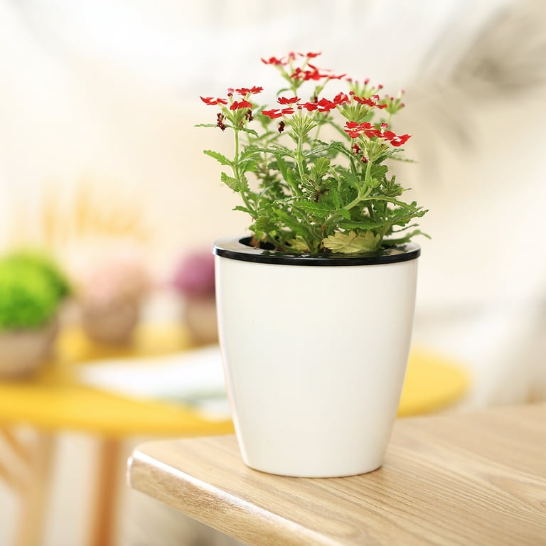 6 Pack 4.7 Inches Self Watering Planter Wicking Pots for Indoor Golden Devil's Ivy, African Violet, Ocean Spider Plant, Orchid, White Color 6 Pack 4.7 Inches Self Watering Planter Wicking Pots for Indoor Golden Devil's Ivy, African Violet, Ocean Spider Plant, Orchid, White Color