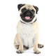 thumbnail image 5 of Bufanda transpirable de verano para perros y gatos, collar de hielo., 5 of 6
