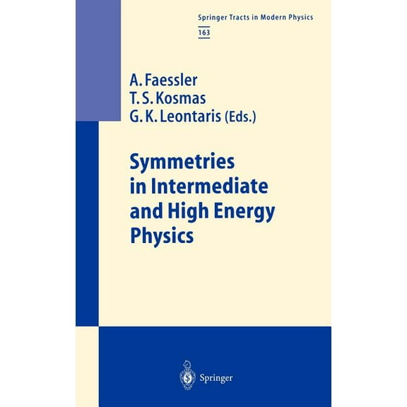 Springer Tracts in Modern Physics Symmetries in Intermediate and High Energy Physics, Book 163, (Hardcover)