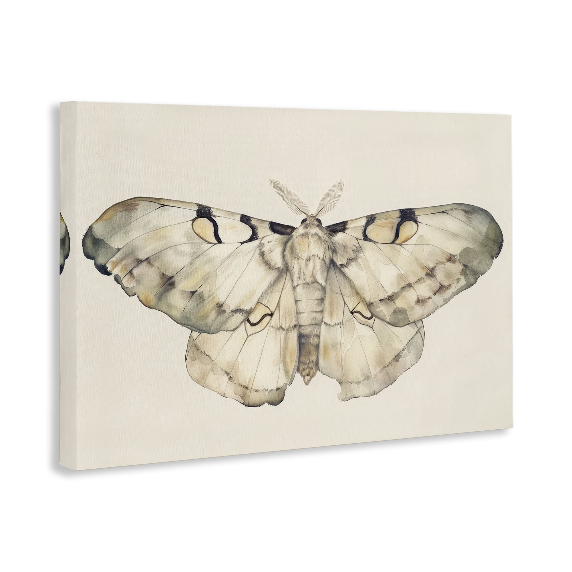 Stupell Industries Dusty Beige Moth Animals Painting Wrapped Canvas Art Print Wall Art, 36 x 24