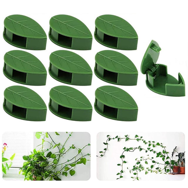 Plant Vine Traction Clip Wall Fixing Clip Self-adhesive Hook