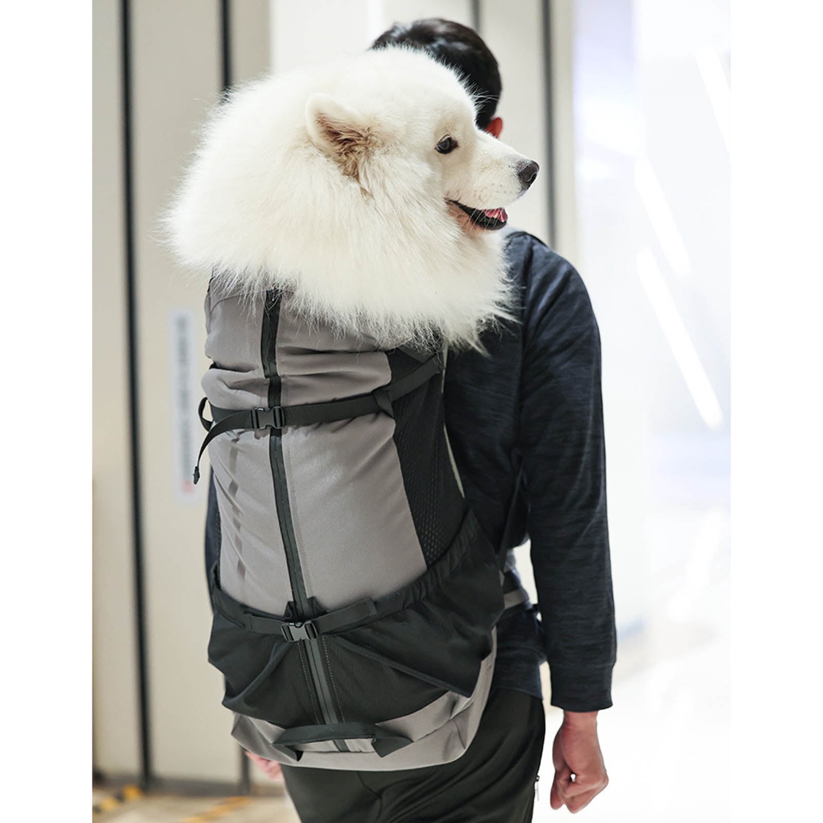 COOLHOOD Multifunctional Outdoor Dog Backpacks Large Capacity Bag Pet Carrier Backpacks for Hiking And Camping