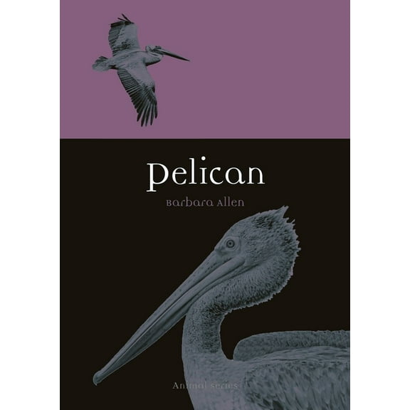 Animal: Pelican (Paperback)
