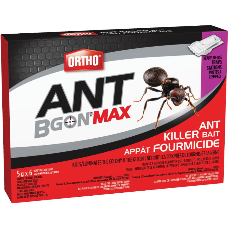 6 Pack AntBGon Ant Traps Walmart Canada