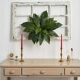 thumbnail image 3 of Nearly Natural 23” Bird’s Nest Fern Artificial Plant (Set of 3), 3 of 5