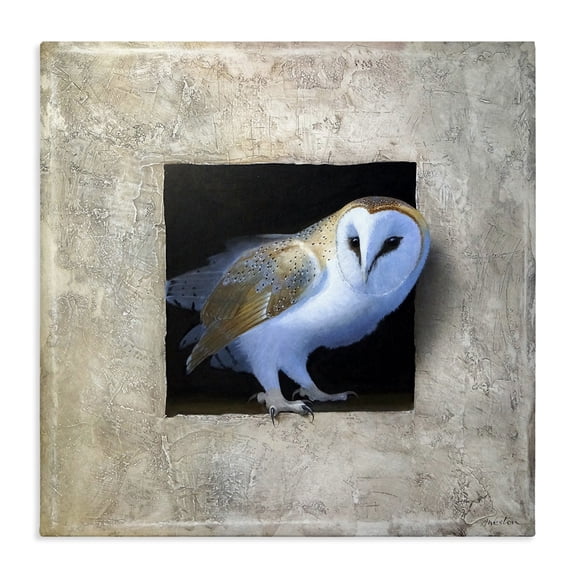 Stupell Industries Traditional Mysterious Barn Owl Peering Canvas Art, 17 x 17, by Alan Weston