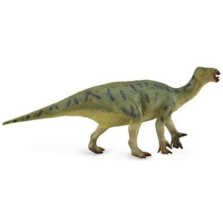 Prehistoric Life Dinosaurs - Collecta Prehistoric Life Iguanodon Deluxe 1:40 Scale Dinosaur Figure (Paleontologist Approved Model)