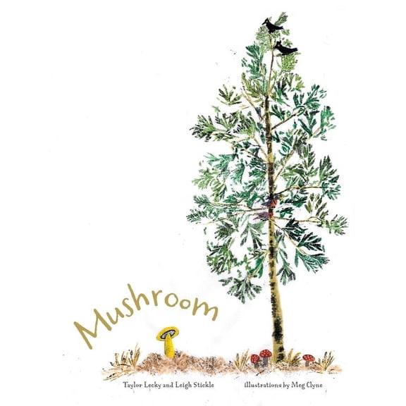 Mushroom, (Paperback)