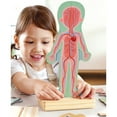 thumbnail image 5 of Hape: Human Body Magnetic Puzzle - 68pc - 6 Human Anatomy Cards, Colorful Magnet Jigsaw Pieces, Boy & Girl, Skeleton, Preschool Learning, Kids Ages 3+, 5 of 7