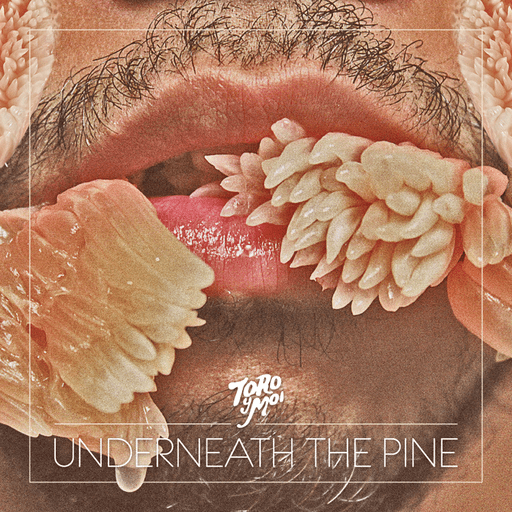 Toro y Moi - Underneath the Pine - Music & Performance - Vinyl