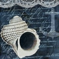 thumbnail image 3 of Allen, Kimberly 20x20 Black Modern Framed Museum Art Print Titled - Shell Dreams 1, 3 of 5