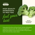 thumbnail image 6 of Swanson Sulforaphane - Broccoli Sprout Extract Supporting Cellular, GI Tract, and Liver Health - Natural Supplement Standardized to 0.4% Sulforaphane - (60 Veggie Capsules, 400mcg Each), 6 of 9